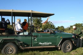 Leeuwenbosch   Amakhala Game Reserve  (18)