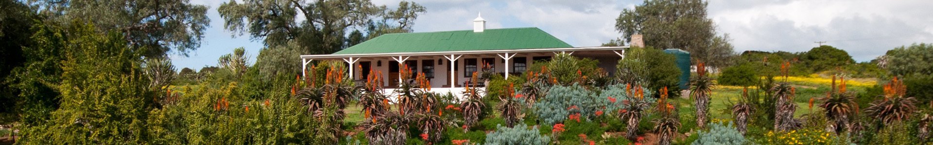 Amakhala Game Lodge Leeuwenbosch Country House Main Lodge Garden