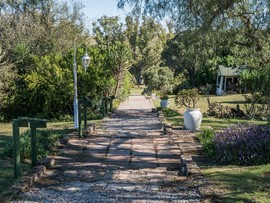 Leeuwenbosch Country House Drive Way