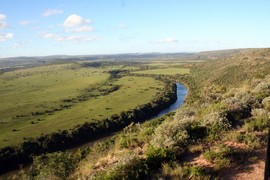 Leeuwenbosch   Amakhala Game Reserve  (4)