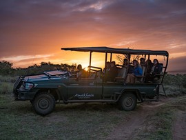 Leeuwenbosch Country House Game Drives