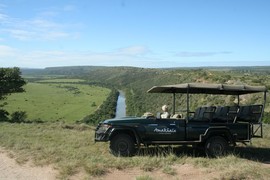 Leeuwenbosch   Amakhala Game Reserve  (19)