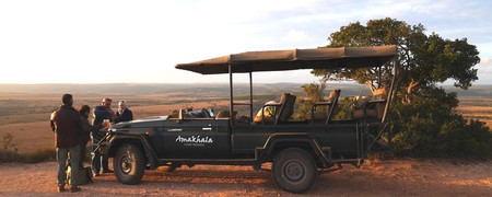 Amakhala Game Reserve Leeuwenbosch Day Safari