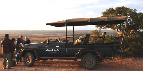 Amakhala Game Reserve Leeuwenbosch Day Safari