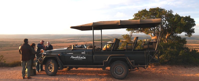 Amakhala Game Reserve Leeuwenbosch Day Safari