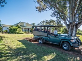 Leeuwenbosch Country House Hous Activities Game Drive