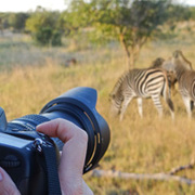 Amakhala Game Lodge Leeuwenbosch Country House Camera Pod