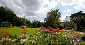 Leeuwenbosch Country House Garden View