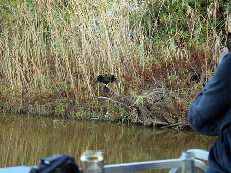 Amakhala Game Reserve Boating Birdlife